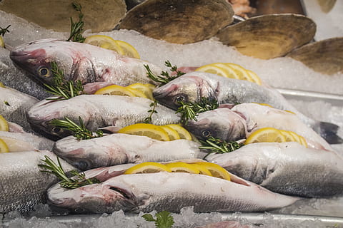fish, raw, dead, seafood, fresh, meal, healthy, delicious, sushi HD wallpaper