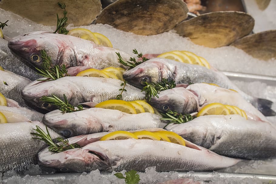 fish, raw, dead, seafood, fresh, meal, healthy, delicious, sushi HD wallpaper