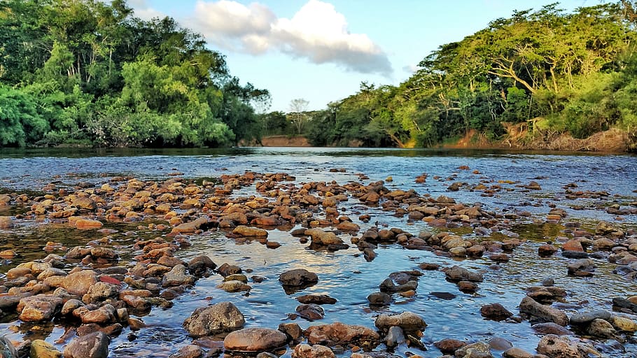 river, rocks, water, belize, jungle, tropical, blue, flow, nature HD wallpaper