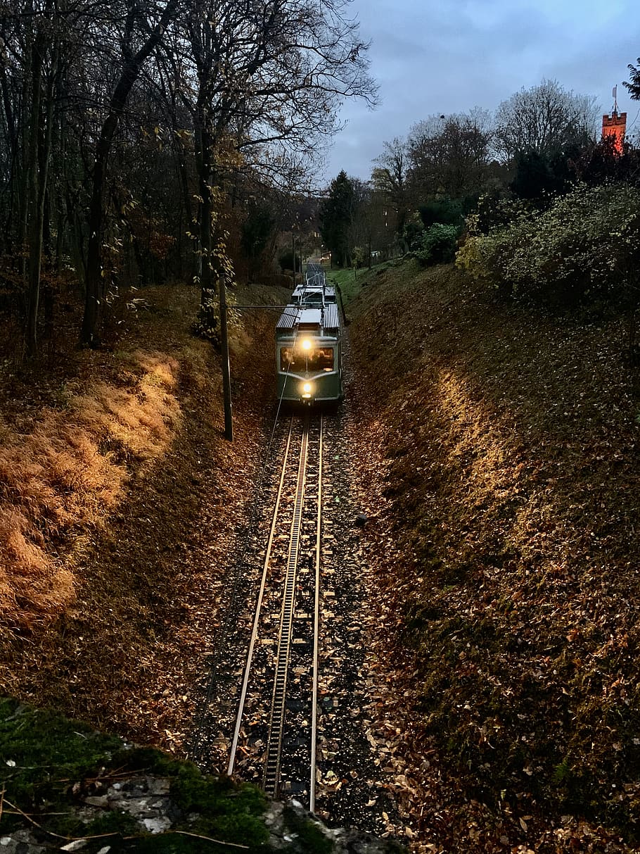 green train, tree, plant, transportation, mode of transportation HD wallpaper