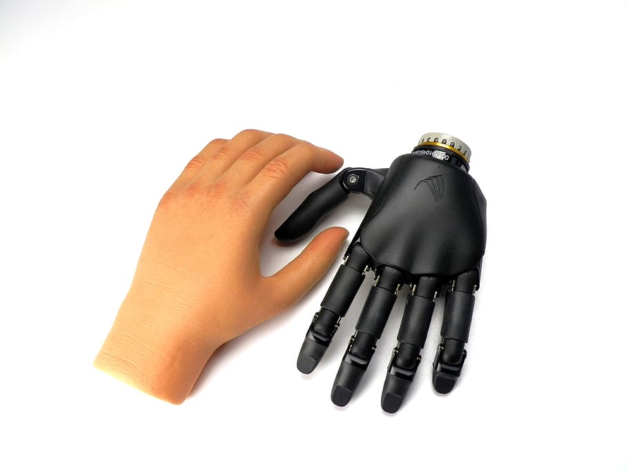 hand prosthesis, robot, humanoid, science, innovation, design, HD wallpaper