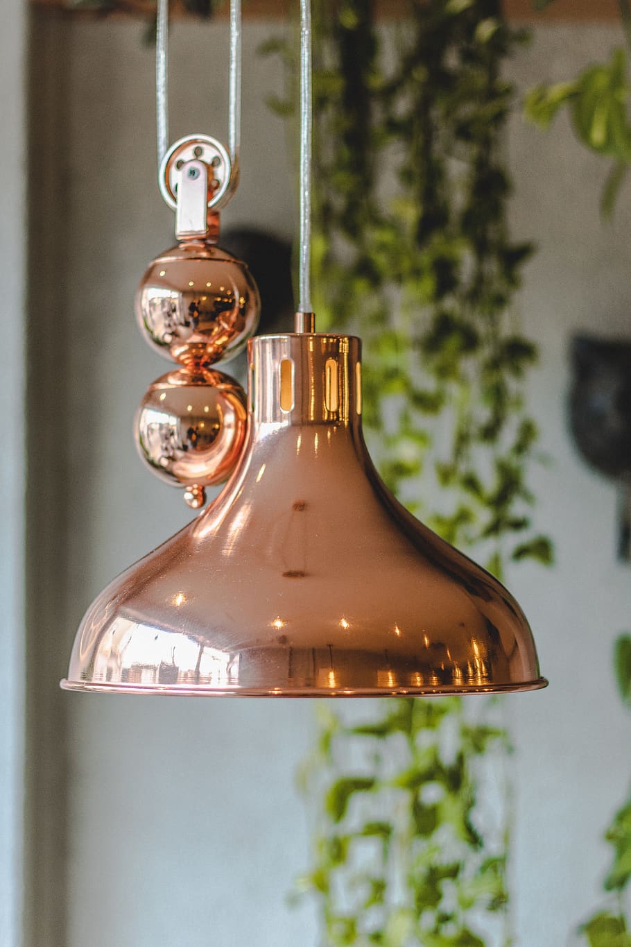 lamp, rose, light, green, home decor, plants, coffee shop, fitting HD wallpaper