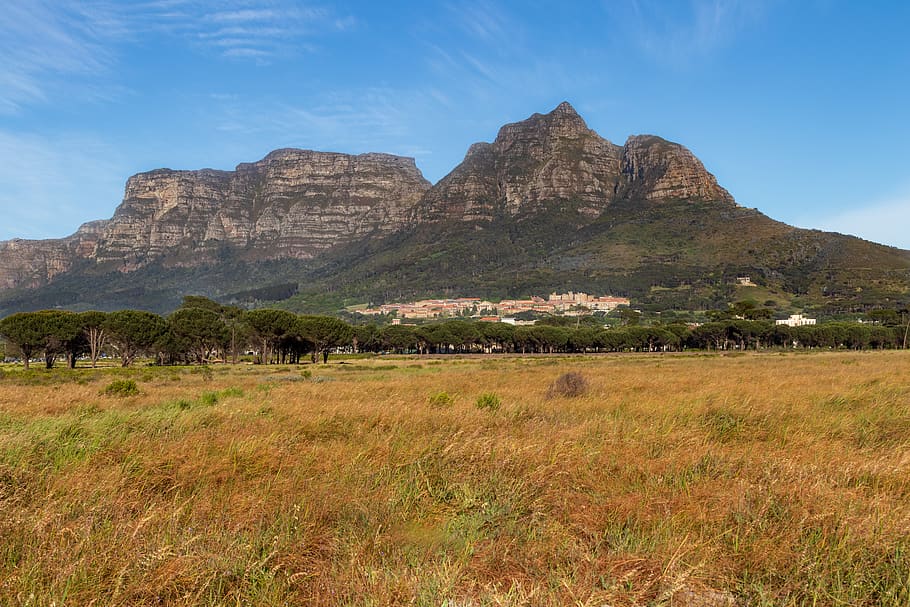 cape town, rondebosch common, south africa, university, university of cape town, HD wallpaper