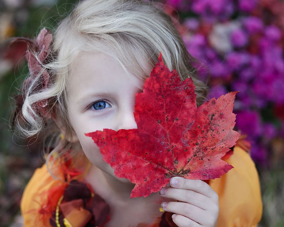 hide, cover, kid, child, plant, leaf, fallen, dry, one person HD wallpaper