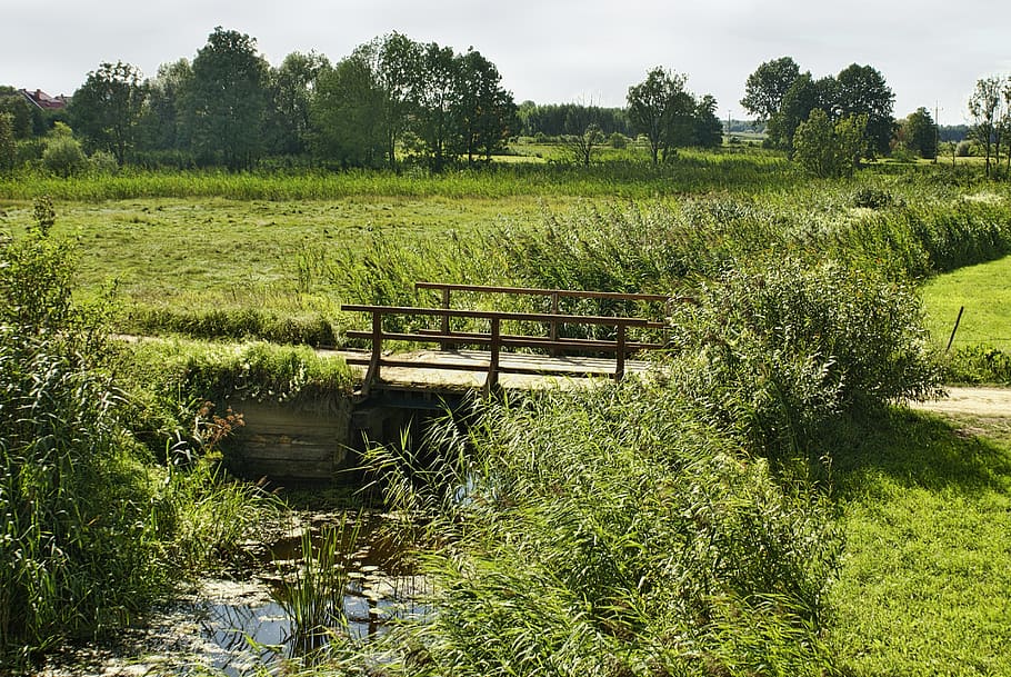 river, bridge, meadows, landscape, scrubs, tykocin, narev, podlasie HD wallpaper