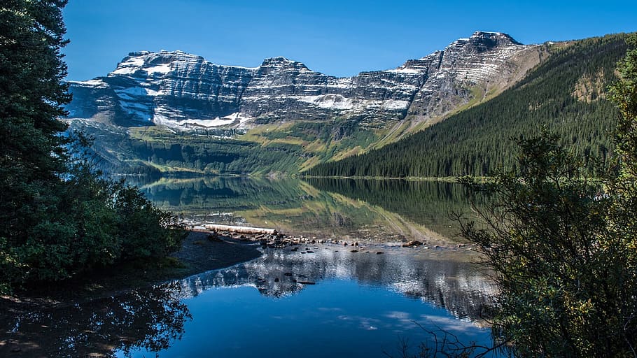 nature, forest, jungle, tree, green, landscape, mountain, lake HD wallpaper