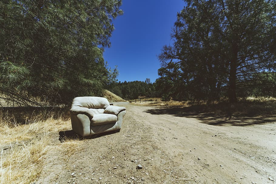 couch, sky, trees, nature, grass, plant, day, sunlight, sitting HD wallpaper