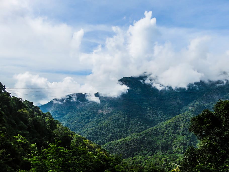 mountains, clouds, high, forest, jungle, nature, landscape HD wallpaper