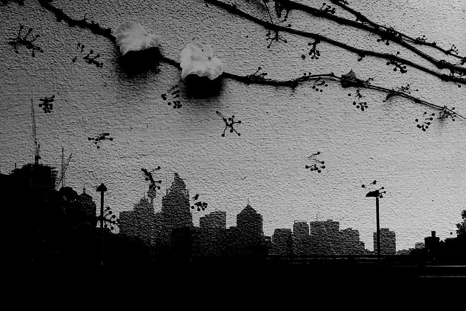 double exposure, sydney, ivy, black and white, city, cityscape, HD wallpaper