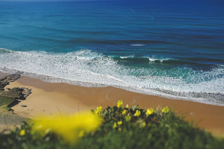 wavy seashore during daytime, water, beach, land, beauty in nature HD wallpaper