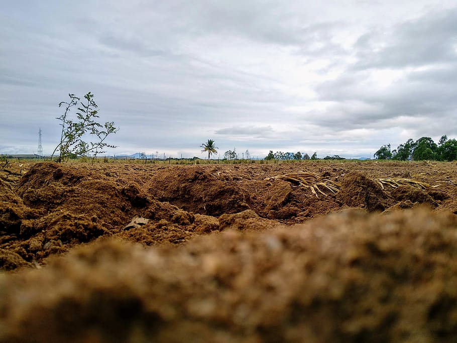 brazil, itapemirim, clouds, trees, ground, rain, soil, sky HD wallpaper