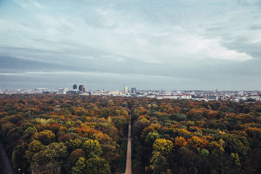 City in the backdrop of fall forest with cloudscape, architecture HD wallpaper