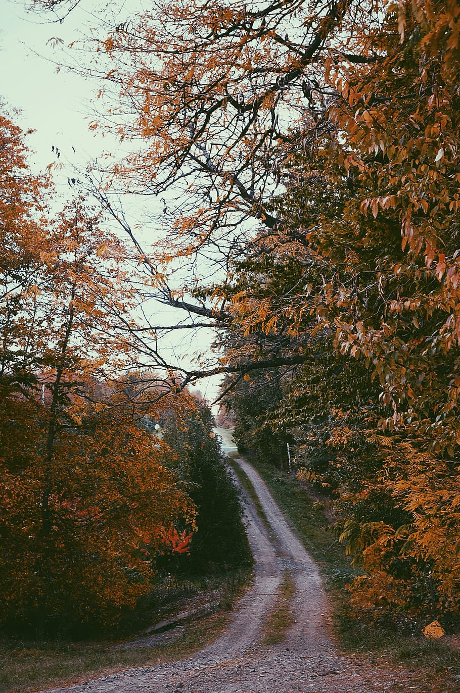 Change road. Осень меняет направление.