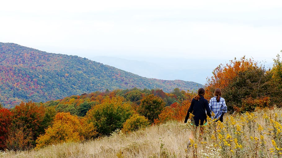 united states, max patch, trees, fall, follow, friends, mountains HD wallpaper