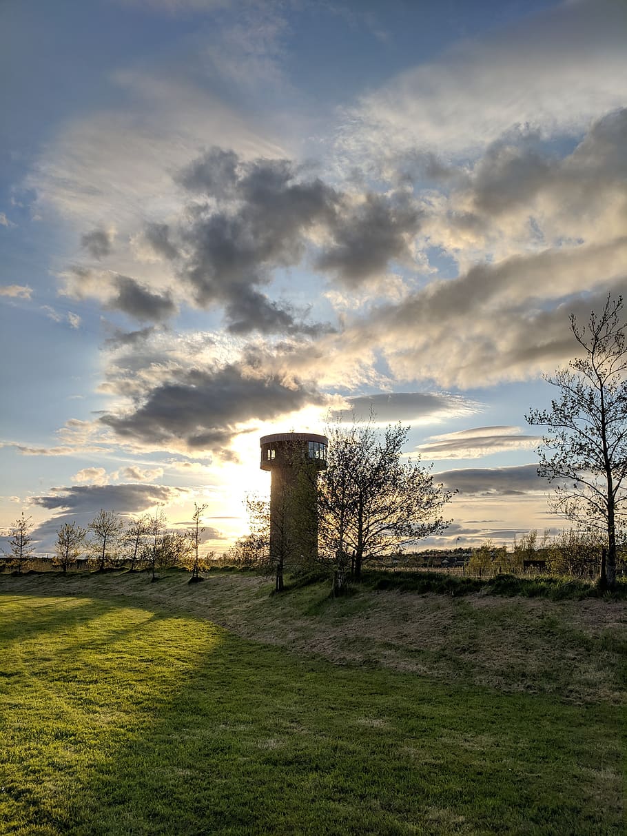 lighthouse, sunset, wetlands, tralee, kerry, ireland, tree HD wallpaper