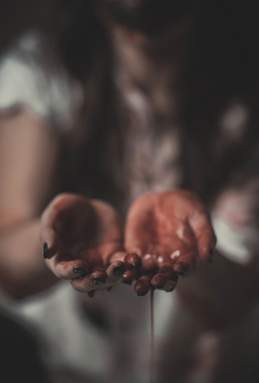 person's hands, focus on foreground, flower, close-up, flowering plant HD wallpaper