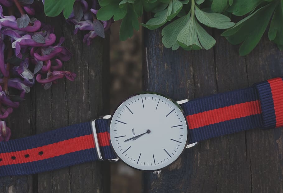 Blue and Red Strap Silver Round Analog Watch Beside Purple and Green Leaf Plant HD wallpaper