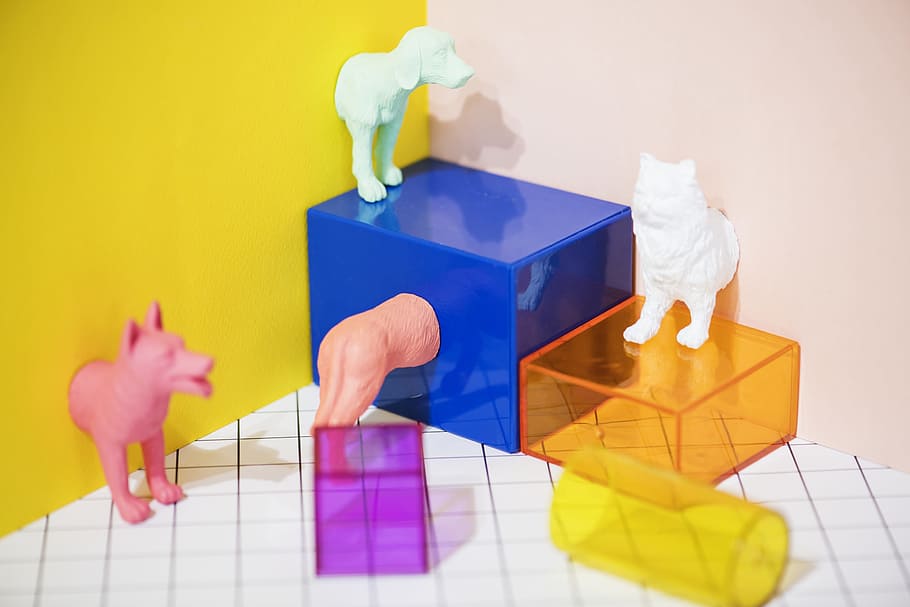 Assorted-color Transparent Boxes, animals, background, canine HD wallpaper