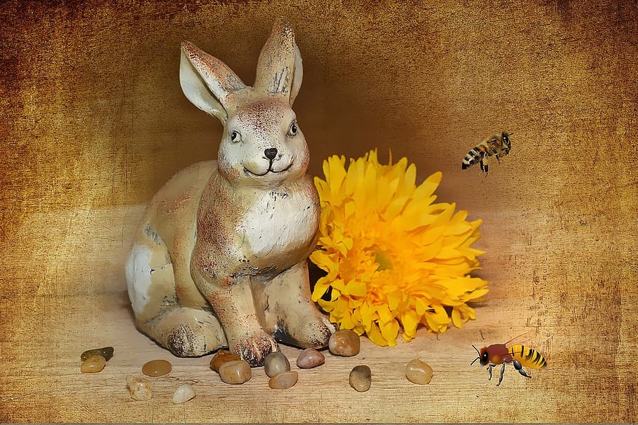 flower, hare, rabbit, bunny, yellow, fresh, freshness, animal HD wallpaper