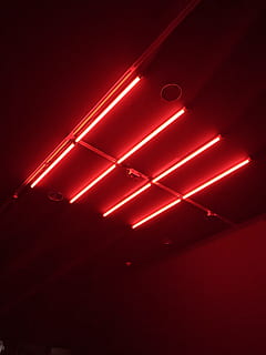 düsseldorf, pizza is god, dark, black, red light, redlight HD wallpaper