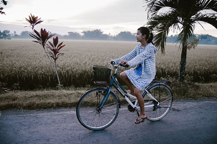 Woman Riding on Blue and White Bicycle, active, daytime, field HD wallpaper