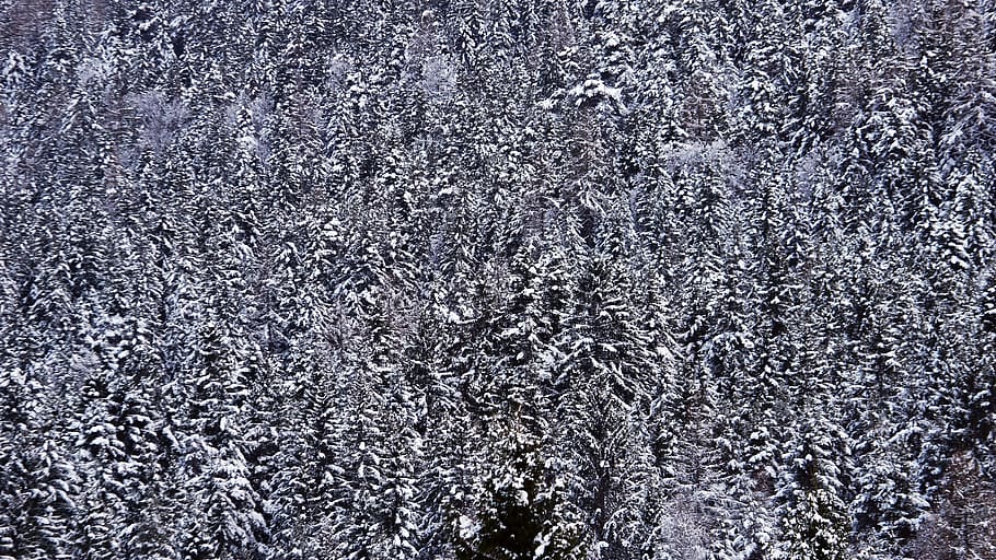 austria, seefeld, full frame, backgrounds, textured, no people HD wallpaper