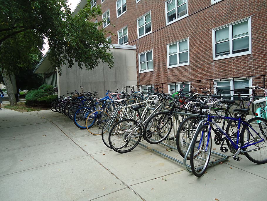 bikes, bicycles, rack, stand, architecture, transportation HD wallpaper