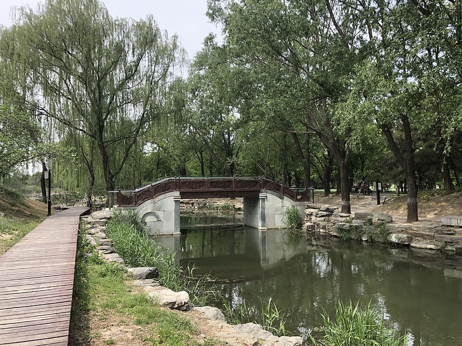 water, outdoors, path, china, beijing, canal, ditch, plant HD wallpaper