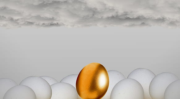 Golden Egg, different, eggs, animal, background, business, chance HD wallpaper