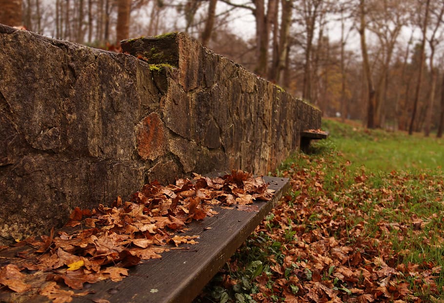 autumn, forest, pond, trees, leaves, mystic, path, magic, landscape HD wallpaper