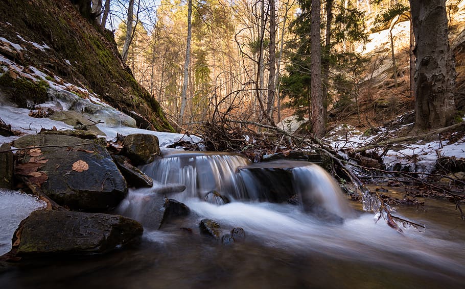 Close-Up Photo of Cascade, cold, environment, flow, forest, ice HD wallpaper