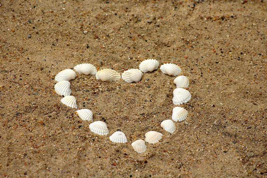 heart, shells, sand, holidays, romanticism, nature, beach, the coast, HD wallpaper