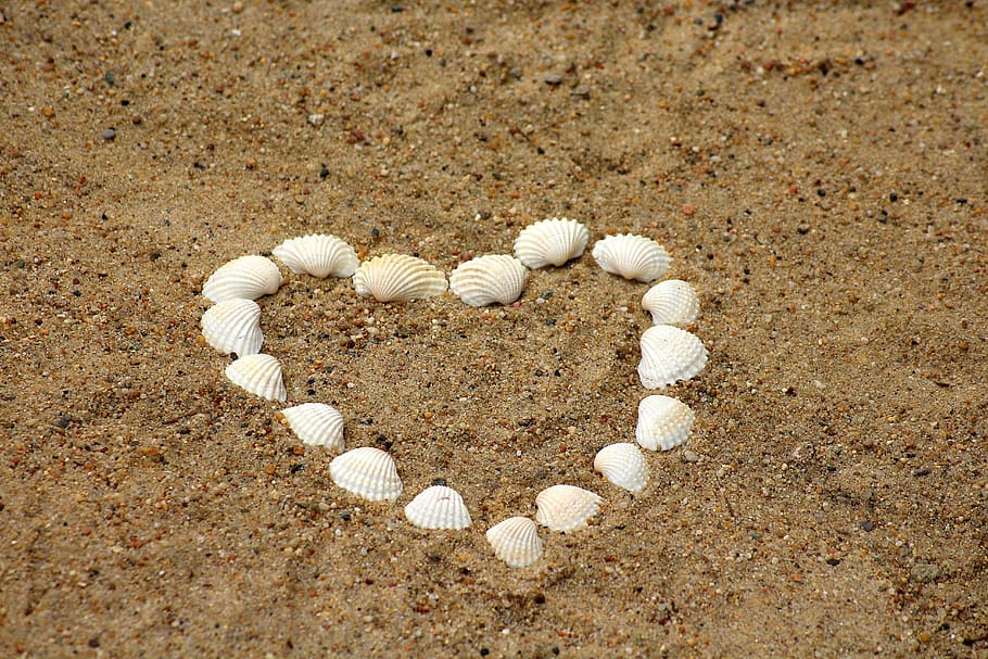 heart, shells, sand, holidays, romanticism, nature, beach, the coast HD wallpaper