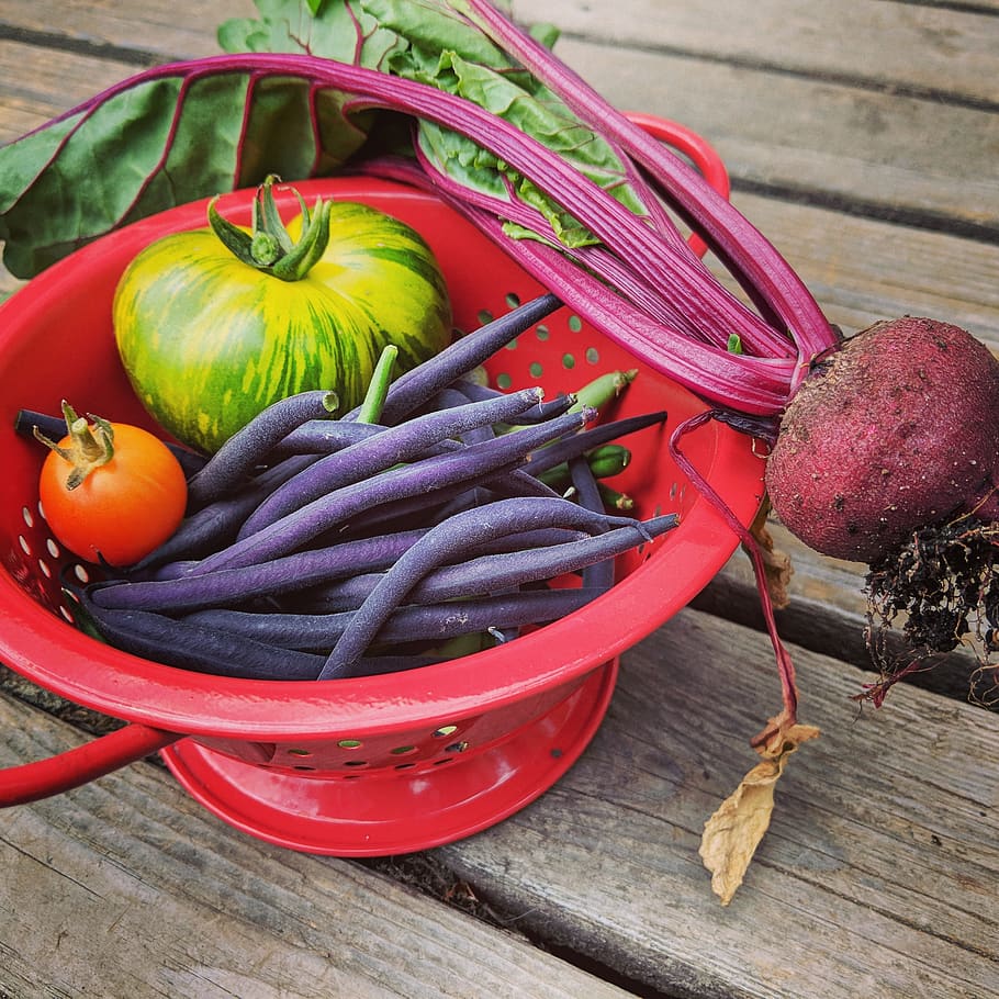 beet, tomato, beans, colander, vegetables, garden, food, fresh, HD wallpaper