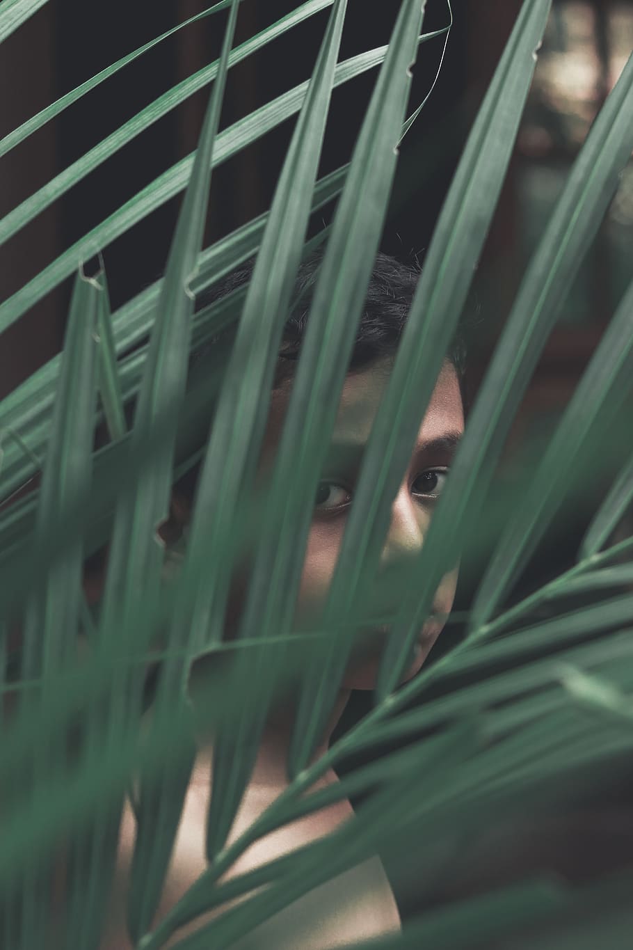 boy standing behind areca palm, portrait, looking at camera, one person HD wallpaper