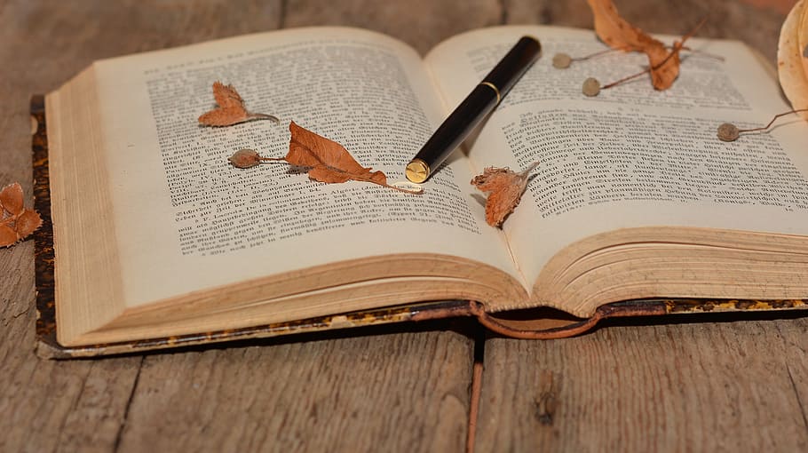 book, paper, read, study, novel, knowledge, work, publication HD wallpaper