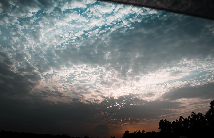 cloud - sky, beauty in nature, tree, silhouette, sunset, scenics - nature HD wallpaper