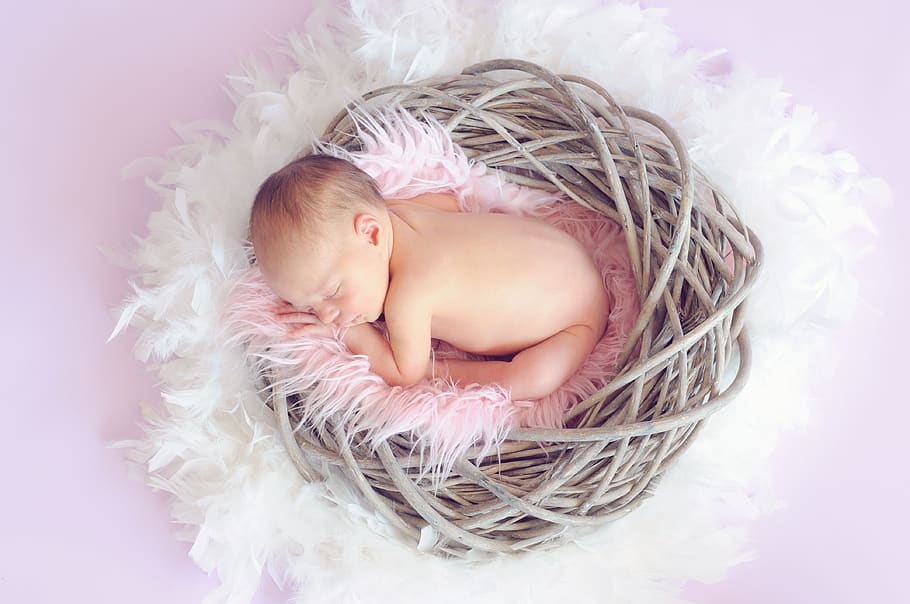 Baby Sleeping in a Basket and a Round Feather Surrounding the Basket, HD wallpaper