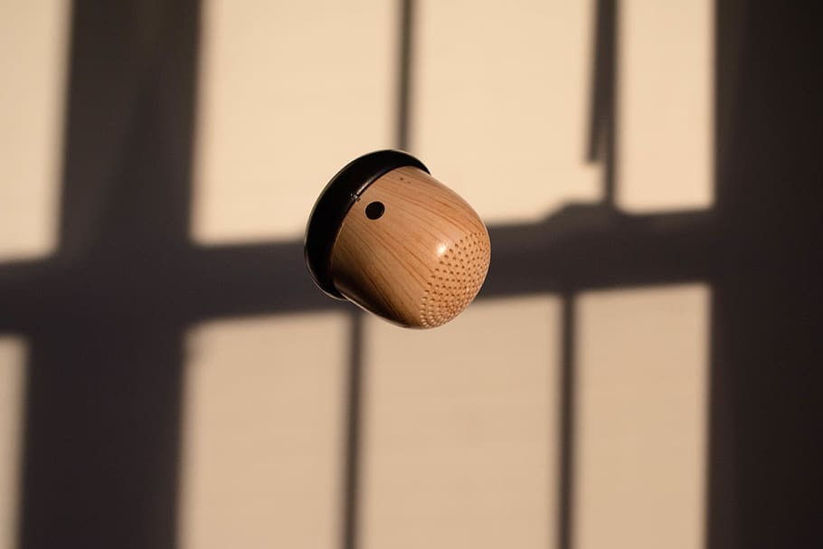 acorn, wood, simple, float, fly, minimal, space, speaker, technology HD wallpaper