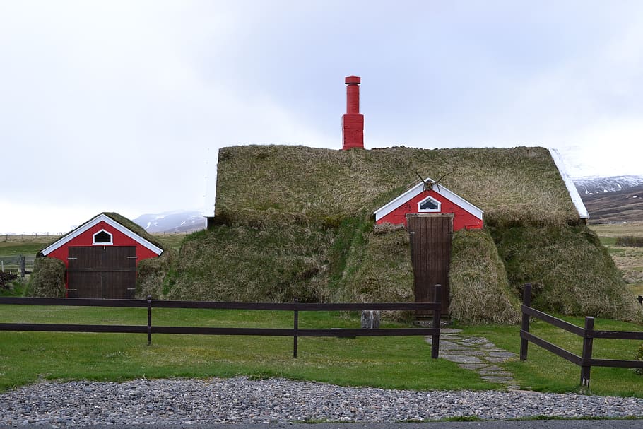 iceland, house, grass, cottage, nature, landscape, built structure HD wallpaper