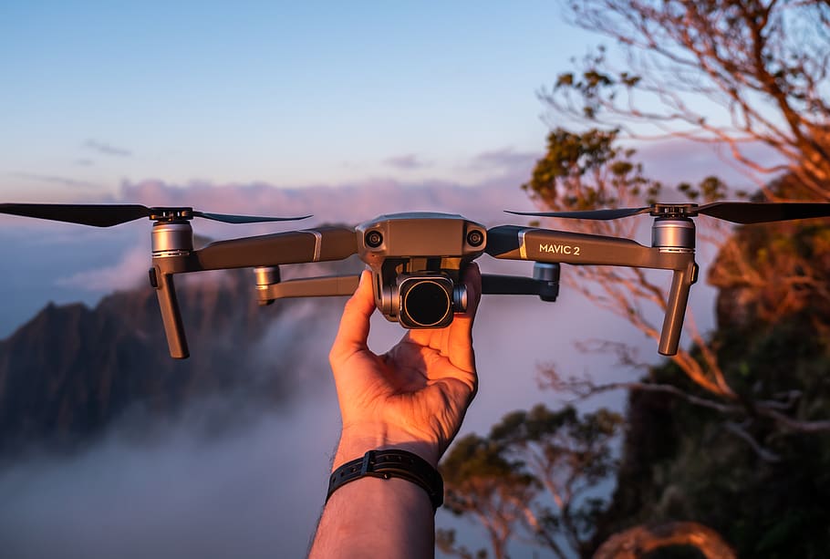 gray drone, person, human, photography, camera, plant, photographer HD wallpaper