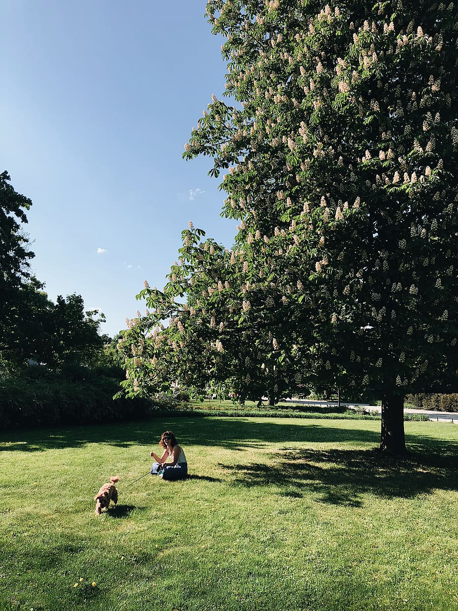Woman With A Dog, daylight, environment, grass, lawn, park, tree HD wallpaper