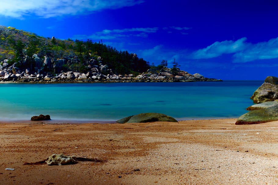 beach, nature, water, sea, land, scenics - nature, sky, tree HD wallpaper