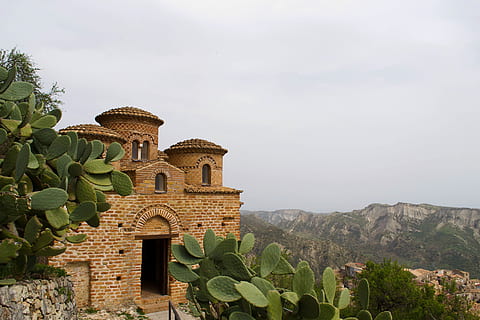 gray concrete building during daytime, plant, cactus, calabria HD wallpaper