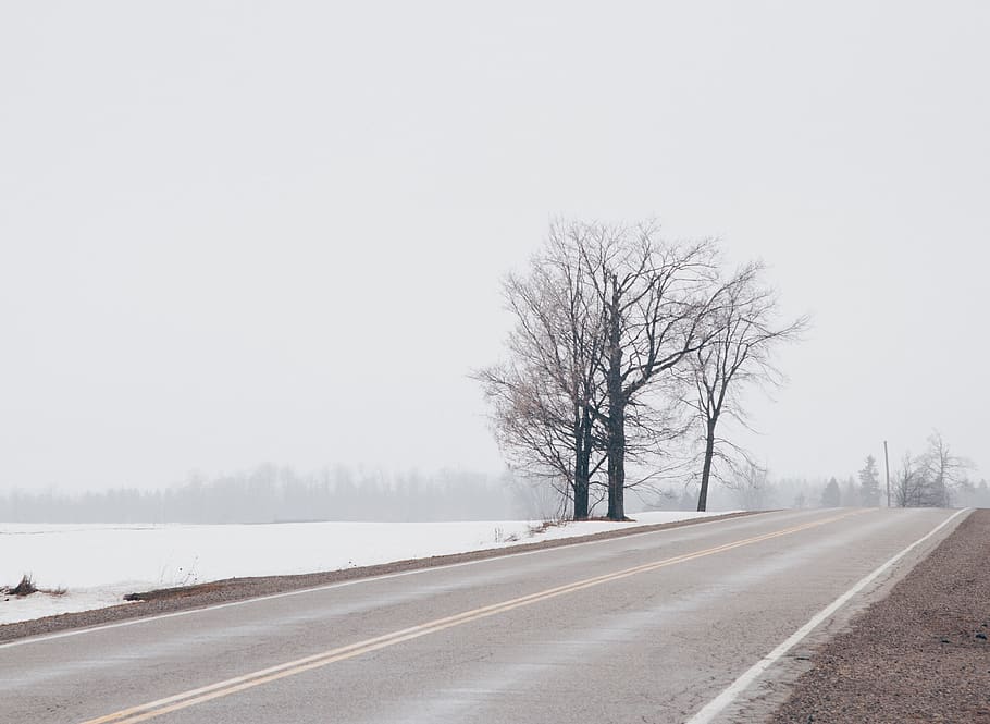 winter, rural, tree, bleak, road, transportation, sky, bare tree, HD wallpaper