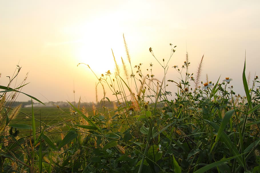 sunset, sky, sunrise, landscape, dawn, nature, sunny, orange HD wallpaper