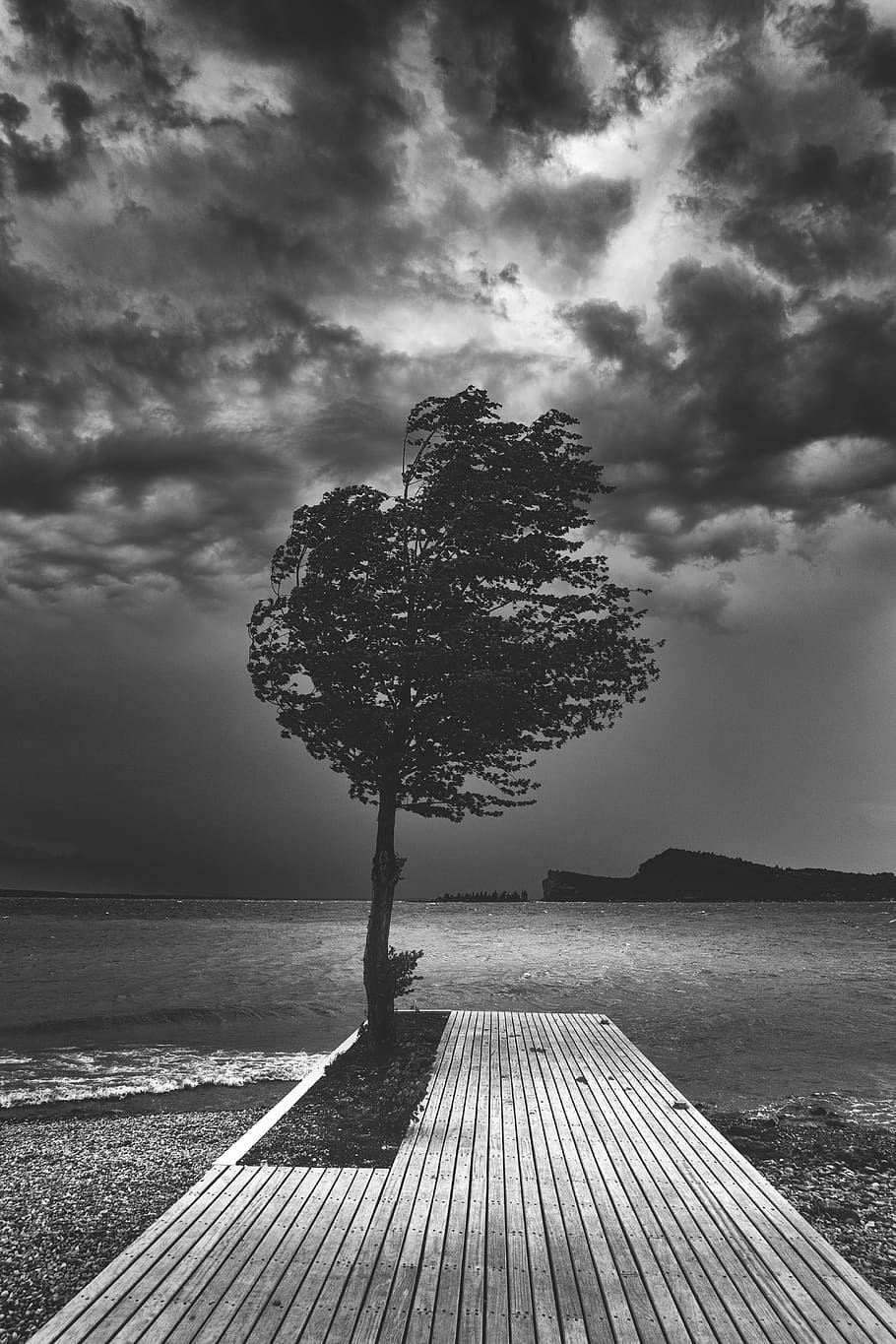 cloud - sky, tree, beauty in nature, tranquility, plant, tranquil scene HD wallpaper