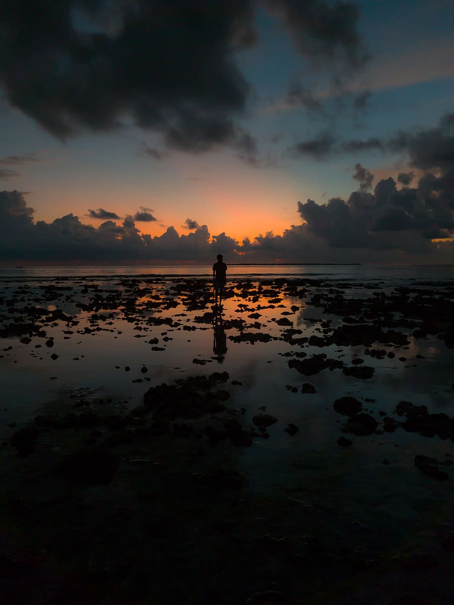 person on seashore, nature, outdoors, land, sunset, red sky, dawn HD wallpaper