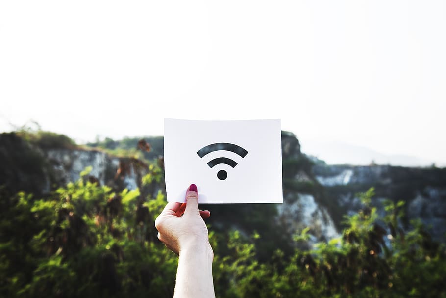 adventure, connection, forest, dom, grass, hobby, internet HD wallpaper