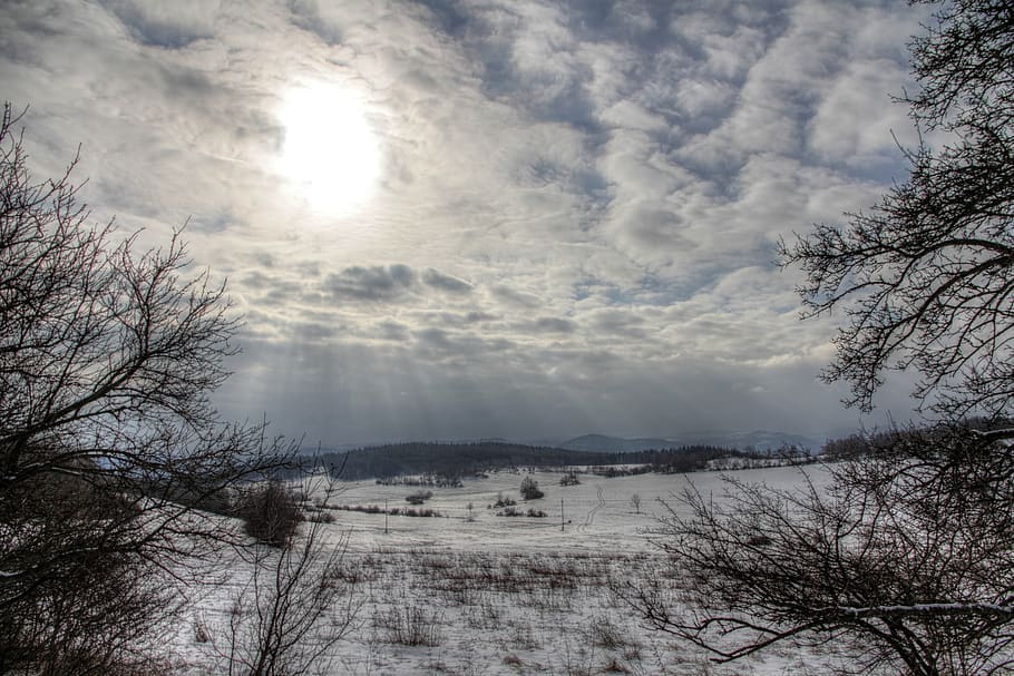 landscape, sky, sun, winter, outdoor, field, trees, travel HD wallpaper